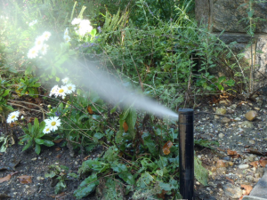 sprinkler blowouts and winterization