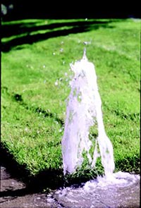 sprinkler repair denver