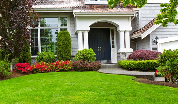 denver landscaping and sprinkler repair