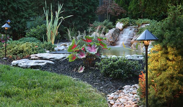denver sprinkler installation and landscaping